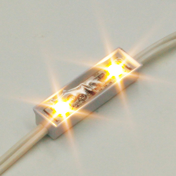 De-Module 12V 2球タイプ 10個 (電球色)