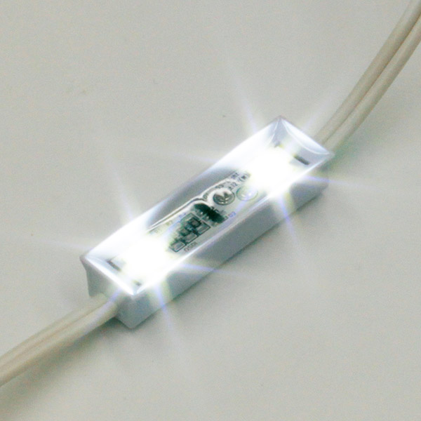 De-Module 12V 2球タイプ 10個 (白)