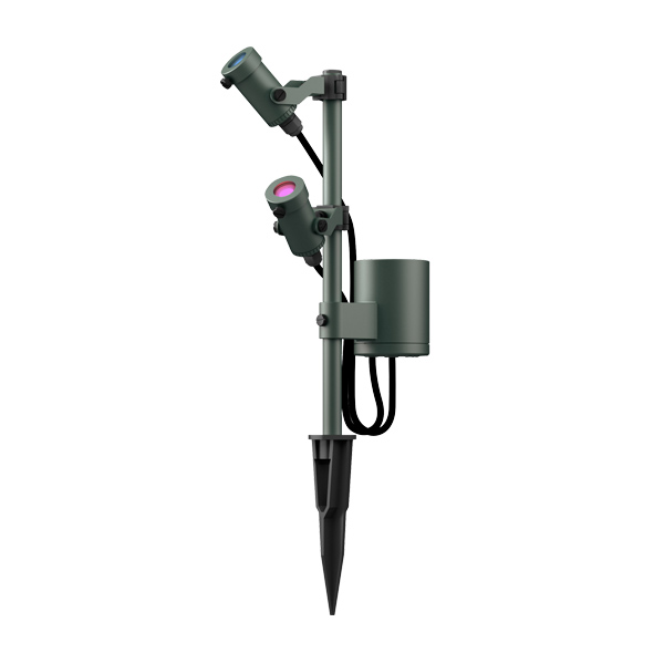 ミニパレットライト 300 ブルー/ピンク