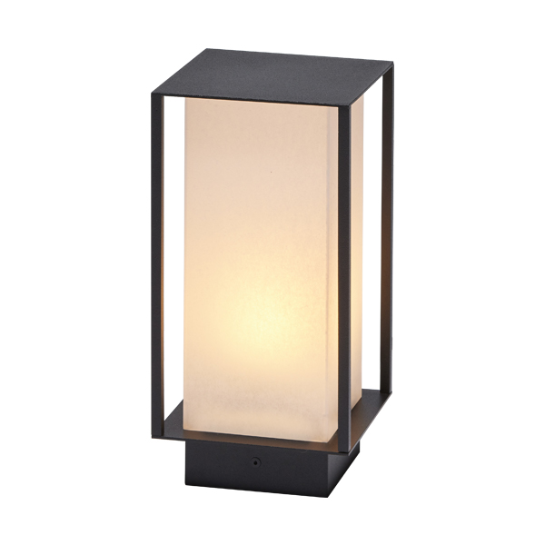 冴「SAE」 庭ゆらぎ ブラック