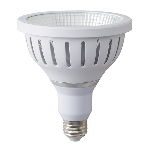 PAR38LED電球1型 19W (E-26) 38゜ 防水タイプ (電球色)
