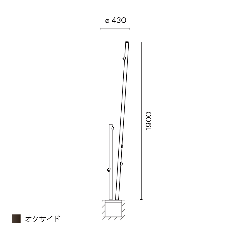Bamboo フロア 2ピース 1900 オクサイド