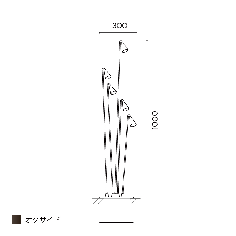 Brisa フロア 5ピース 1000 オクサイド
