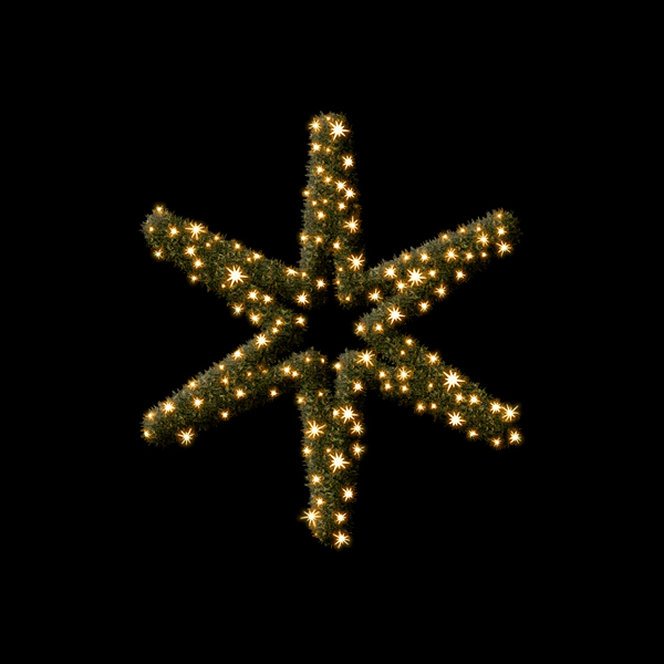 トラディショナル スター 黒コード (電球色)