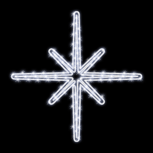 アステロスター (白)