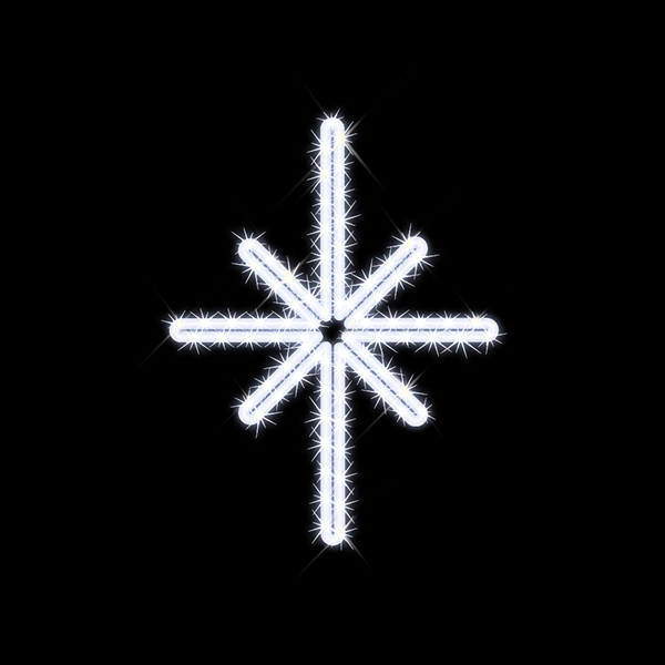 ポラリス (白)