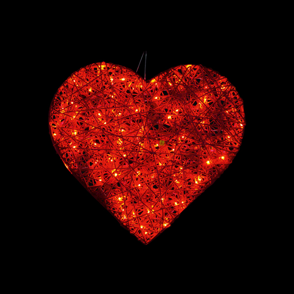 2Dオーガニックハート (レッド)