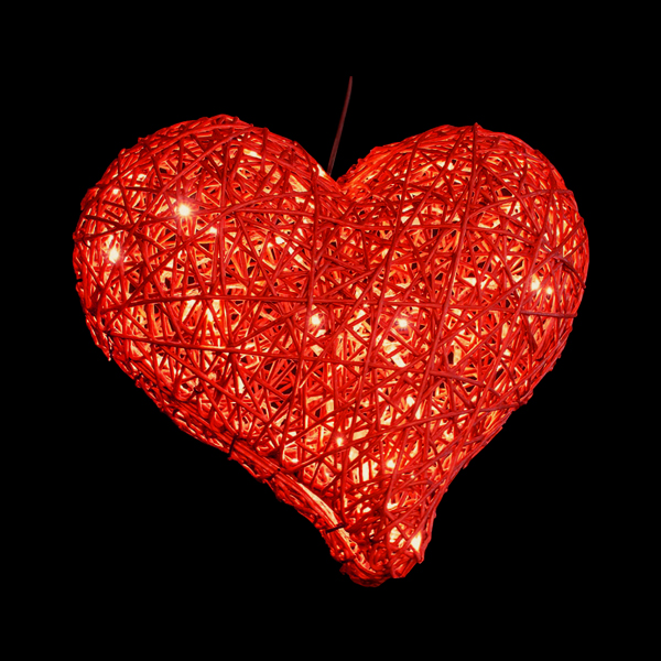 3Dオーガニックハート 大 (レッド)