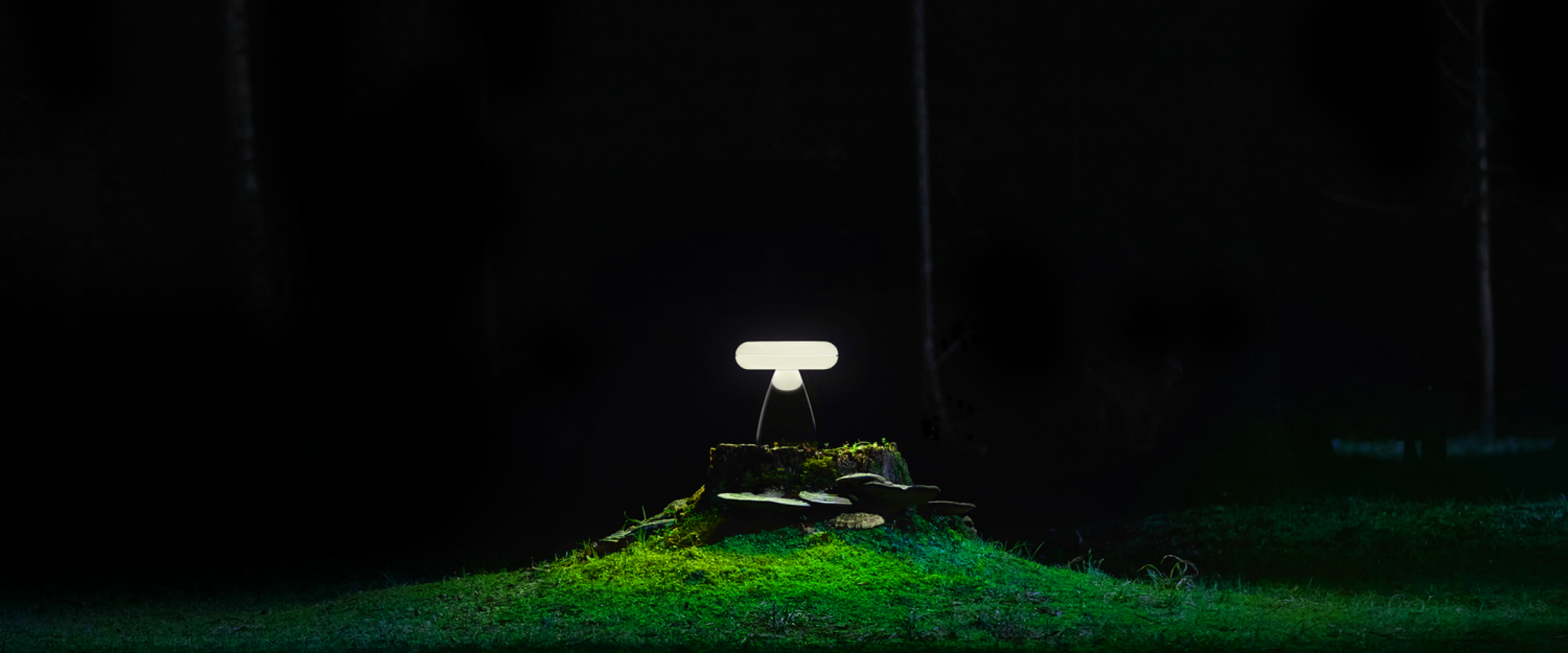 Kodama